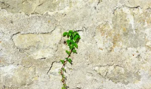 Read more about the article My Take on Why Real Growth Comes from Within