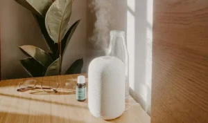 Read more about the article 15 Tiny Habits That Quietly Make Your Home (and You) Feel Better