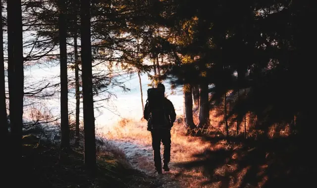 A person with a backpack walking through a sunlit forest path toward a lake, symbolizing reflection and personal growth — things I wish I knew before turning 30.