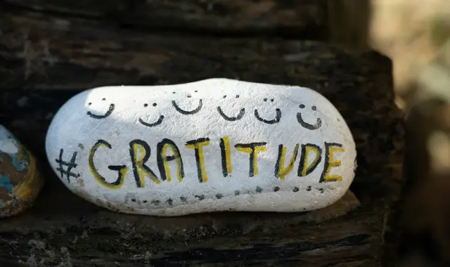 What is delayed gratitude and the meaning of gratitude